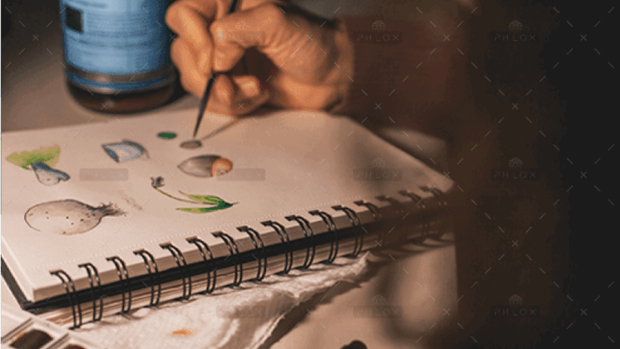 demo-attachment-422-Rectangle-70