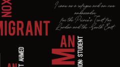 8fabeb79542663.5cc6b9ff14211