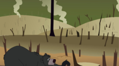 af7a5879518235.5cc5d244c341a