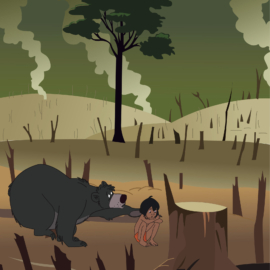 af7a5879518235.5cc5d244c341a